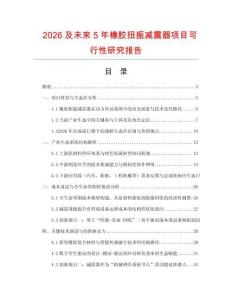 2026及未來5年橡膠扭振減震器項目可行性研究報告