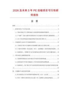 2026及未來5年P(guān)E拉鏈項目可行性研究報告
