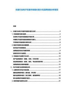 樂器行業(yè)電子樂器市場增長潛力與品牌發(fā)展分析報(bào)告