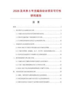 2026及未來5年充磁自動臺項目可行性研究報告