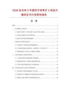 2026及未來5年圓形手持帶燈4倍放大鏡項目可行性研究報告