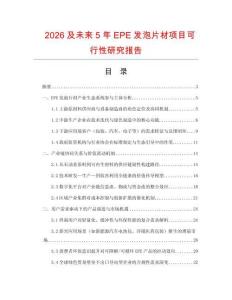 2026及未來(lái)5年EPE發(fā)泡片材項(xiàng)目可行性研究報(bào)告