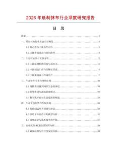 2026年紙制抹布行業深度研究報告