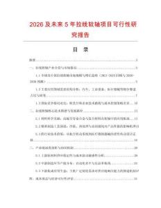 2026及未來5年拉線軟軸項目可行性研究報告