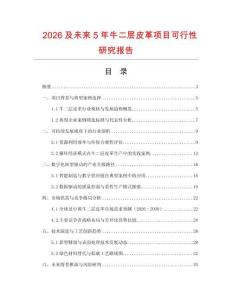 2026及未來5年牛二層皮革項目可行性研究報告