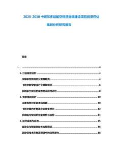 2025-2030卡塔爾多哈航空樞紐物流建設項目投資評估規劃分析研究報告