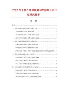 2026及未來5年玻璃管加熱器項目可行性研究報告