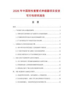 2026年中國剛性套管式伸縮器項目投資可行性研究報告