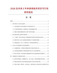 2026及未來5年單排母線夾項(xiàng)目可行性研究報(bào)告