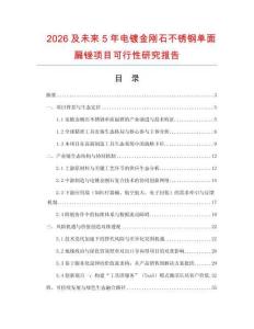 2026及未來5年電鍍金剛石不銹鋼單面扁銼項目可行性研究報告