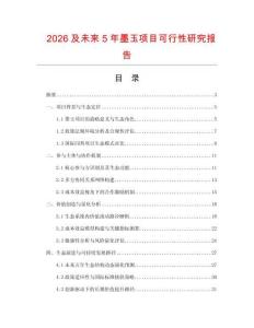 2026及未來5年墨玉項目可行性研究報告