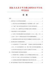 2026及未來5年溝槽式蝶閥項目可行性研究報告