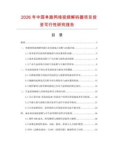 2026年中國(guó)單路網(wǎng)絡(luò)視頻解碼器項(xiàng)目投資可行性研究報(bào)告