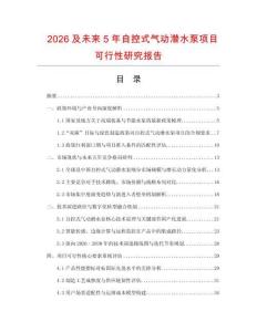 2026及未來5年自控式氣動潛水泵項目可行性研究報告