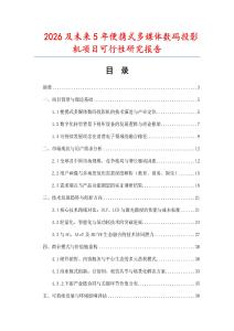 2026及未來5年便攜式多媒體數碼投影機項目可行性研究報告