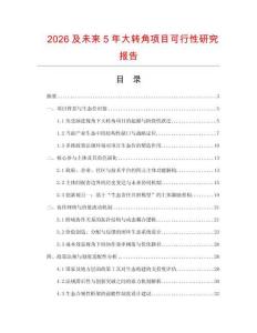 2026及未來(lái)5年大轉(zhuǎn)角項(xiàng)目可行性研究報(bào)告