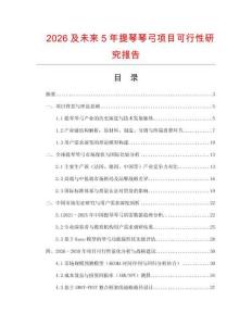 2026及未來5年提琴琴弓項(xiàng)目可行性研究報(bào)告