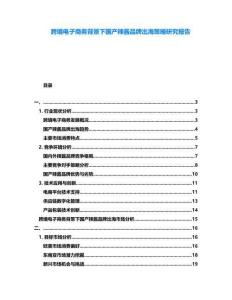 跨境電子商務(wù)背景下國產(chǎn)辣醬品牌出海策略研究報告