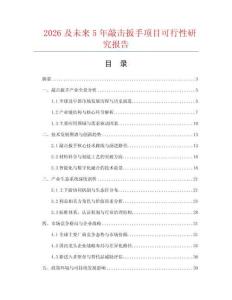 2026及未來5年敲擊扳手項目可行性研究報告