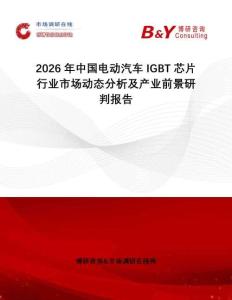 2026年中國(guó)電動(dòng)汽車(chē)IGBT芯片行業(yè)市場(chǎng)動(dòng)態(tài)分析及產(chǎn)業(yè)前景研判報(bào)告