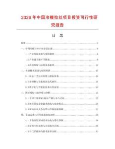 2026年中國冷模拉絲項目投資可行性研究報告