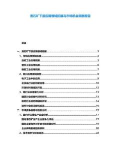 滑石礦下游應(yīng)用領(lǐng)域拓展與市場機(jī)會(huì)洞察報(bào)告