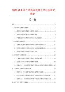 2026及未來5年濾魚網項目可行性研究報告