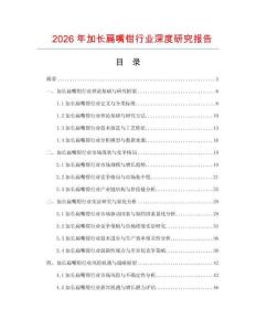 2026年加長扁嘴鉗行業(yè)深度研究報告
