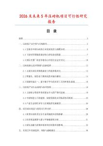 2026及未來5年壓磚機項目可行性研究報告