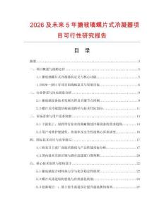 2026及未來5年搪玻璃蝶片式冷凝器項目可行性研究報告