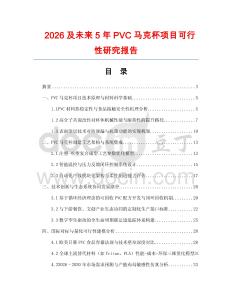 2026及未來5年PVC馬克杯項目可行性研究報告