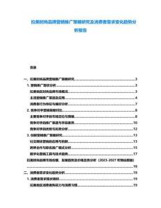 拉美時(shí)尚品牌營銷推廣策略研究及消費(fèi)者需求變化趨勢(shì)分析報(bào)告