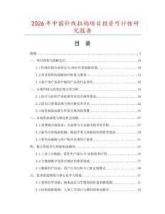 2026年中國(guó)針線拉鉤項(xiàng)目投資可行性研究報(bào)告