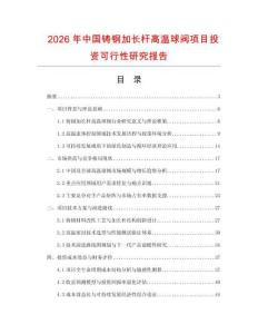 2026年中國鑄鋼加長桿高溫球閥項目投資可行性研究報告