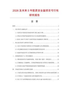 2026及未來5年膠質安全盔項目可行性研究報告