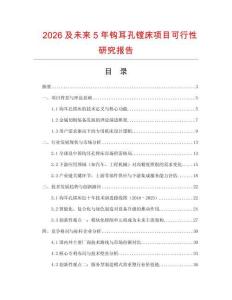 2026及未來(lái)5年鉤耳孔鏜床項(xiàng)目可行性研究報(bào)告