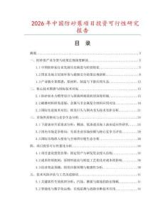 2026年中國防砂泵項目投資可行性研究報告
