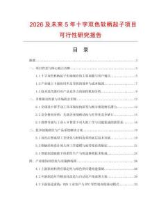 2026及未來5年十字雙色軟柄起子項目可行性研究報告