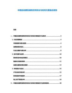 中國運動腰包儲物空間優化與時尚元素融合報告