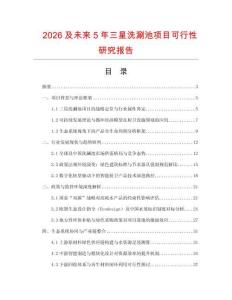 2026及未來(lái)5年三星洗涮池項(xiàng)目可行性研究報(bào)告