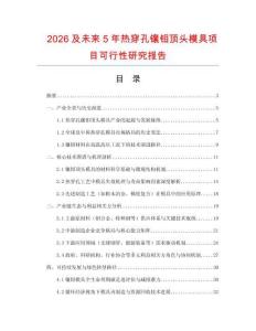 2026及未來5年熱穿孔鑲鉬頂頭模具項(xiàng)目可行性研究報(bào)告