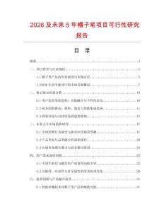 2026及未來5年帽子筆項(xiàng)目可行性研究報(bào)告