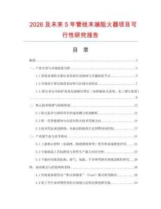 2026及未來(lái)5年管線末端阻火器項(xiàng)目可行性研究報(bào)告