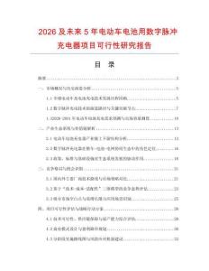 2026及未來5年電動車電池用數(shù)字脈沖充電器項目可行性研究報告