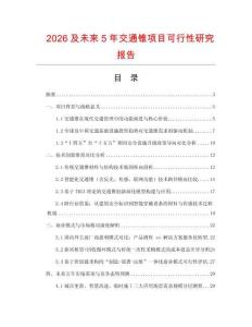 2026及未來5年交通錐項目可行性研究報告