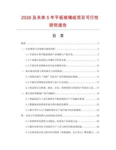 2026及未來5年平板玻璃紙項目可行性研究報告