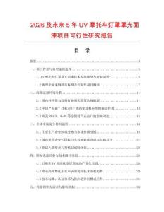2026及未來5年UV摩托車燈罩罩光面漆項目可行性研究報告