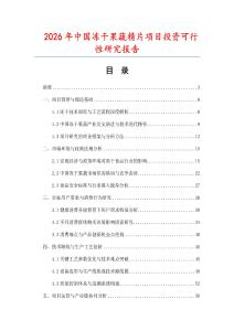 2026年中國(guó)凍干果蔬精片項(xiàng)目投資可行性研究報(bào)告