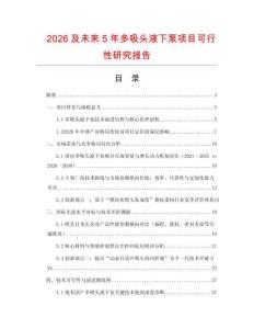 2026及未來(lái)5年多吸頭液下泵項(xiàng)目可行性研究報(bào)告