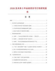 2026及未來5年絲線項目可行性研究報告